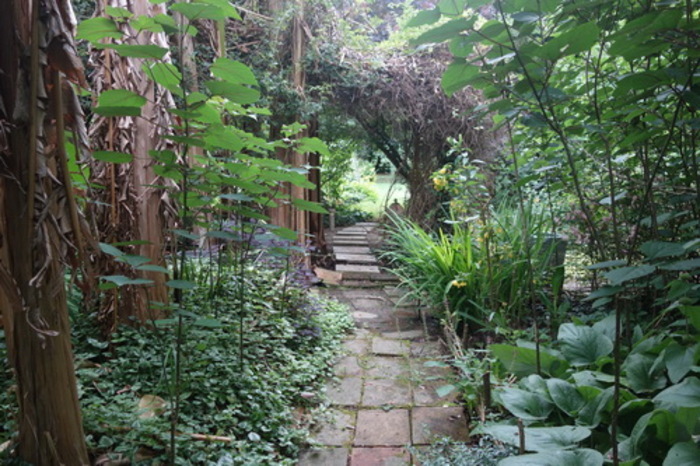 Visite d'un jardin naturel et son potager en Tarn et Garonne. Jardin des Clarisselles Auterive