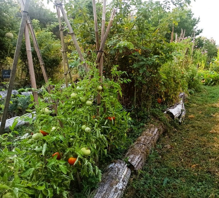Visite d'un jardin nourricier Mon jardin rêvé Jarnac