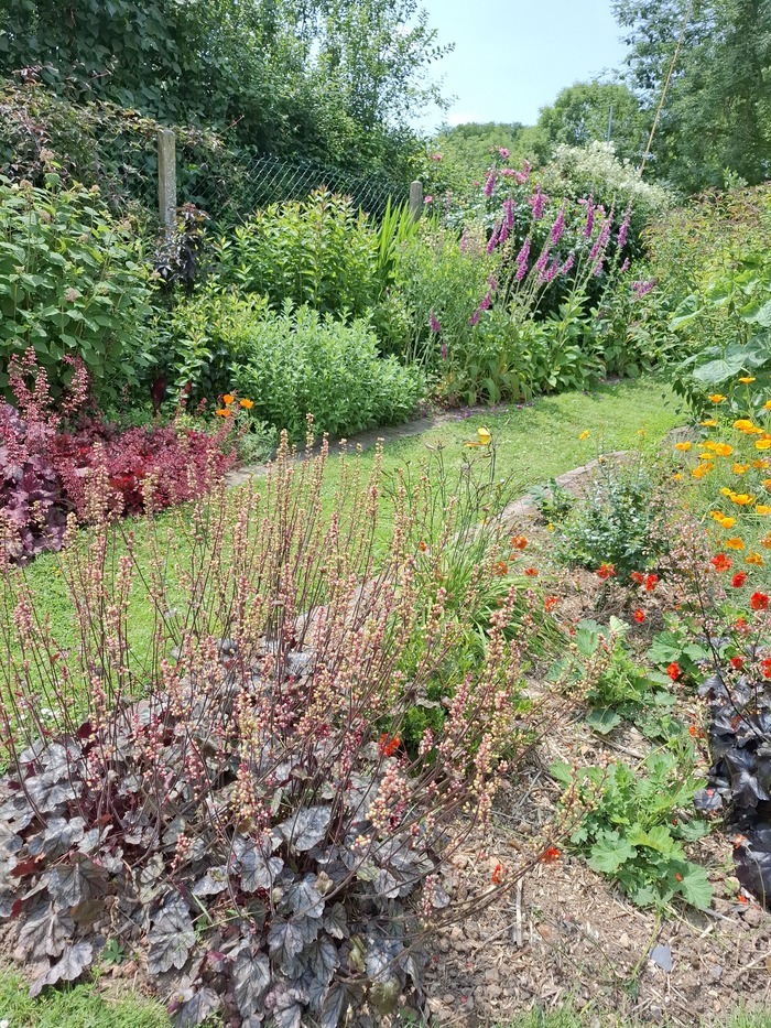 Visite d'un jardin personnel entre ville et campagne Hortus Intimus La Ville-aux-Clercs
