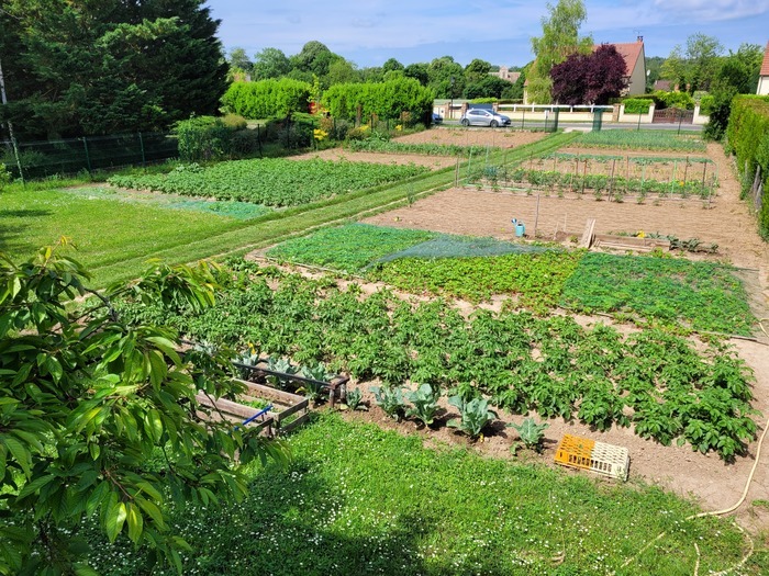 Visite d&rsquo;un potager bio, Potager bio du Guette Lièvre, Auvers-Saint-Georges