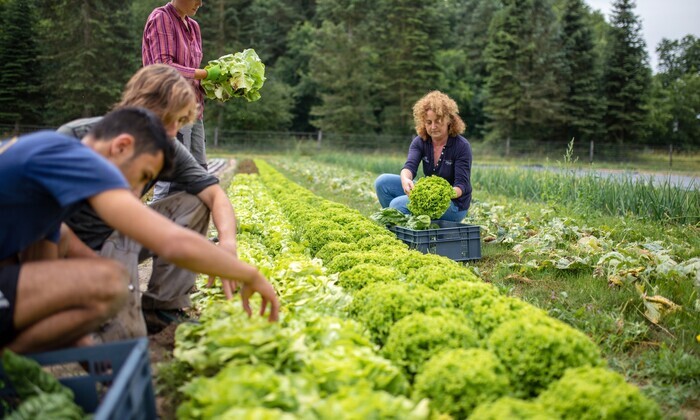 Visite d'une ferme maraichère bio et agro-écologique Le Village Potager Saint-Pierre-lès-Nemours