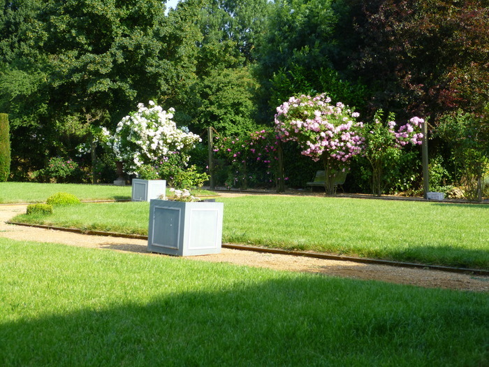 Visite d&rsquo;une suite de jardins autour d&rsquo;un manoir du XIII et XIV siècle, le grand sourches 72300 Précigné, Précigné