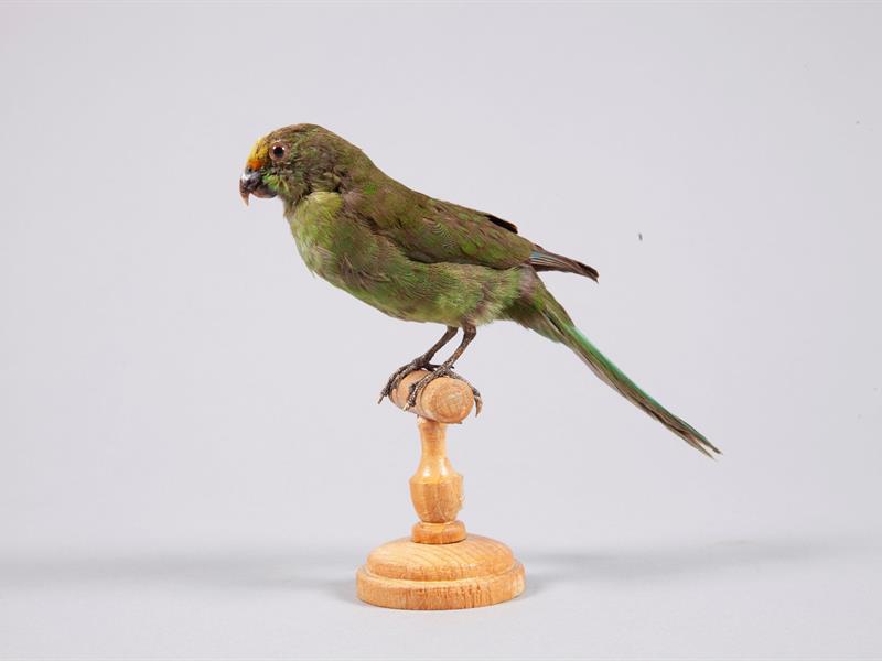 Visite famille la petite vadrouille au Pavillon 2 rue du Haut Poirier Metz 2026-04-23