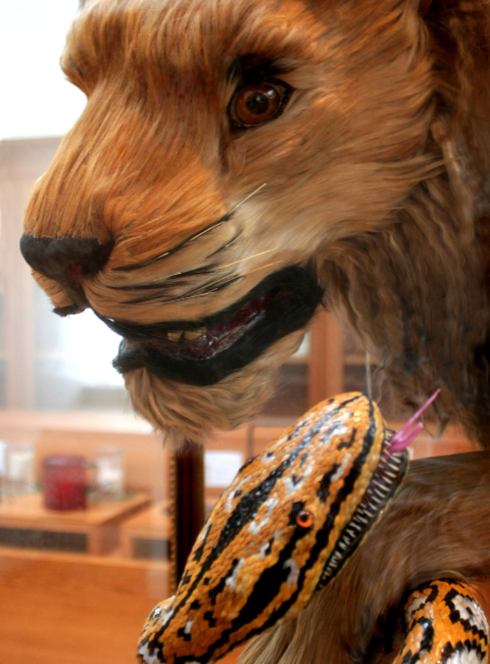 Visite flash – Le lion et le serpent, Musée des arts et métiers, Paris