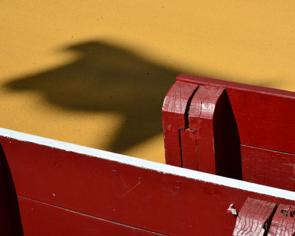 Visite guidée Corrida Parc Théodore Denis Dax 2026-05-28