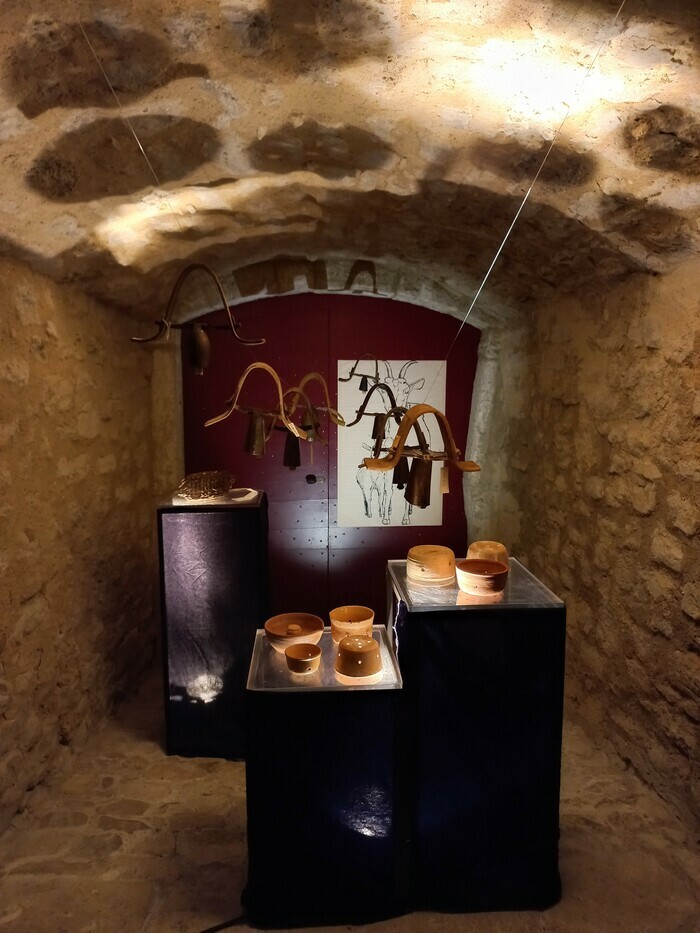 Visite guidée de la cave au grenier, Salagon, musée et jardins, Mane