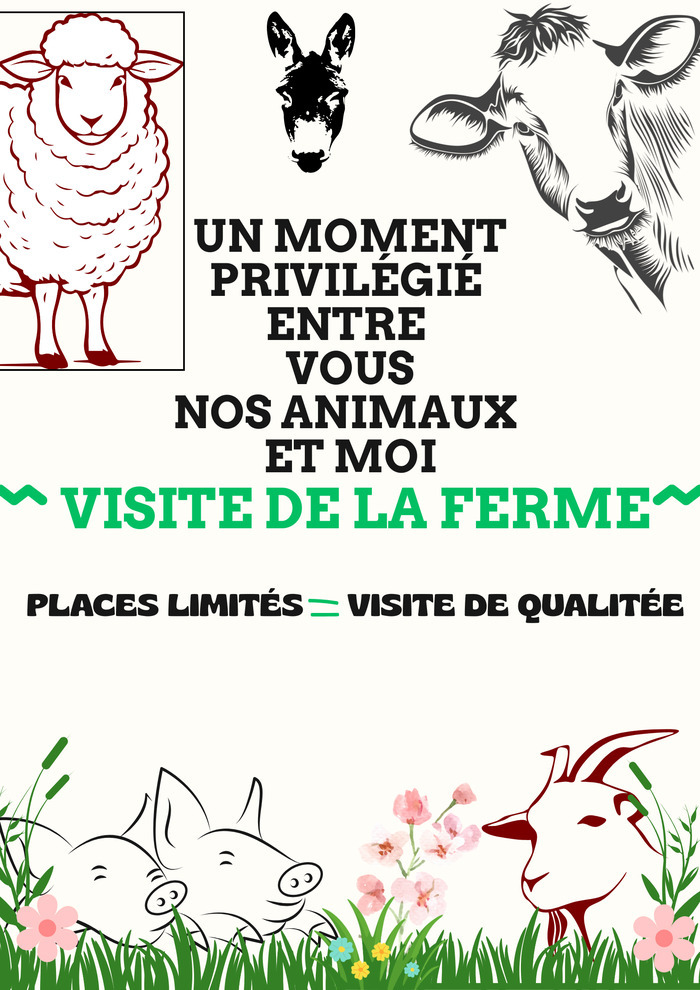 Visite guidée de la ferme de Grémi La Ferme de Grémi Saint-Ovin