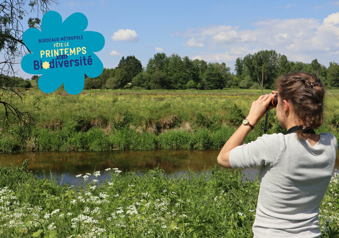 Visite guidée de la Réserve naturelle et atelier origami, Réserve Naturelle des marais de Bruges, Bruges