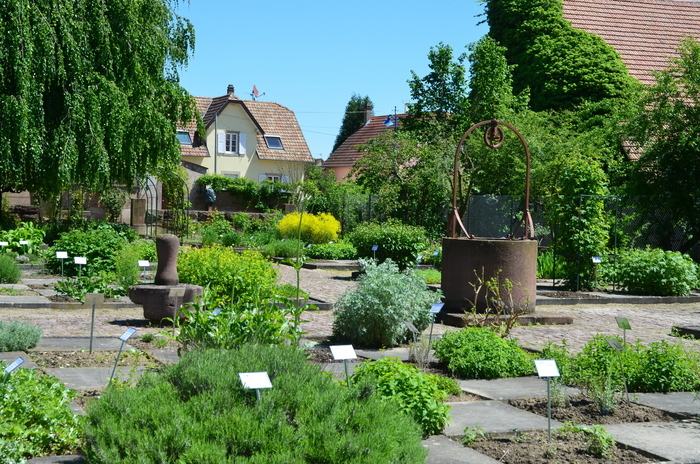 Visite guidée de l’abbatiale et visite libre de son jardin monastique, Jardin monastique de plantes médicinales, Eschau