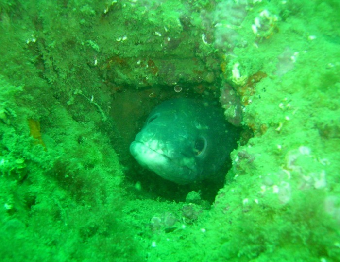 Visite guidée de notre exposition "Eau