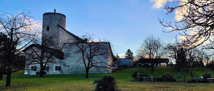 Visite guidée de Plan-les-Ouates : Saconnex-d'Arve Fontaine de Saconnex-d'Arve-Dessous Genève