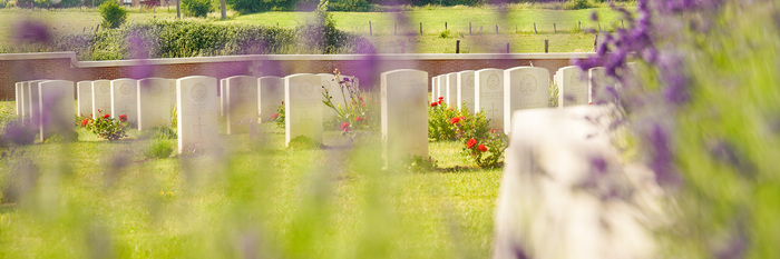 Visite Guidée « Découverte de la Flore du Cimetière militaire de Pheasant Wood », Musée de la Bataille de Fromelles, Fromelles