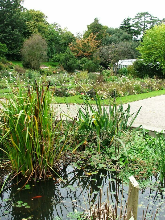 Visite guidée découverte historique et sensorielle du jardin des plantes, Jardin des Plantes, Caen
