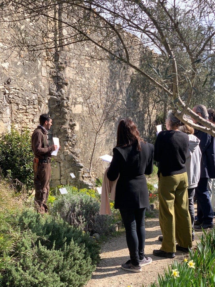 Visite guidée des jardins Jardin de l’ancienne abbaye Saint-André Villeneuve-lès-Avignon