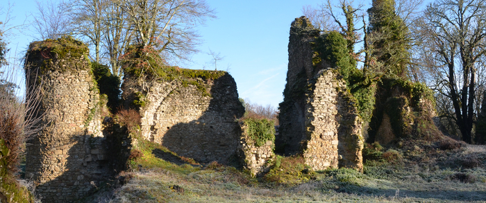 Visite guidée des ruines du château Lavauguyon Les Salles-Lavauguyon