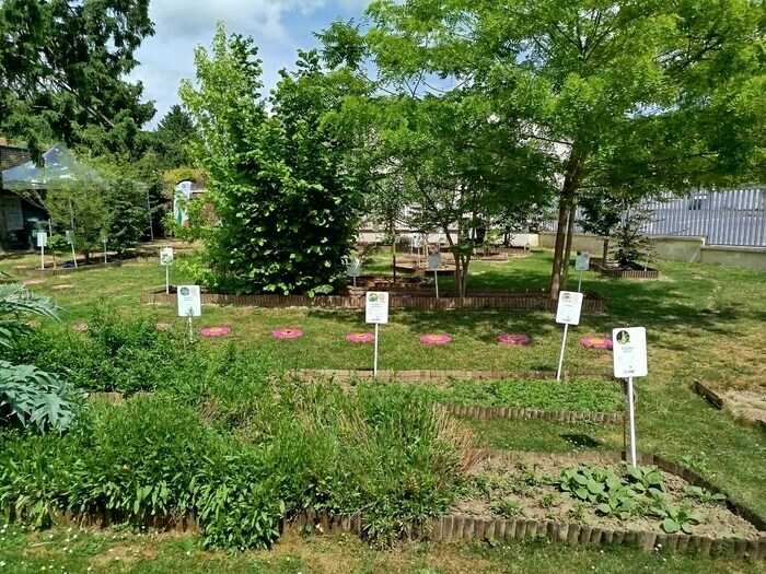 Visite guidée du jardin de plantes tinctoriales de la Maison du Textile, La Maison du Textile, Fresnoy-le-Grand