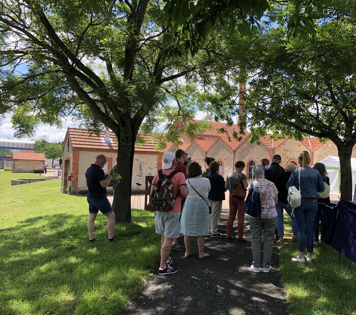 Visite guidée du jardin des plantes à fibres et tinctoriales, Musée du Textile de Cholet, Cholet