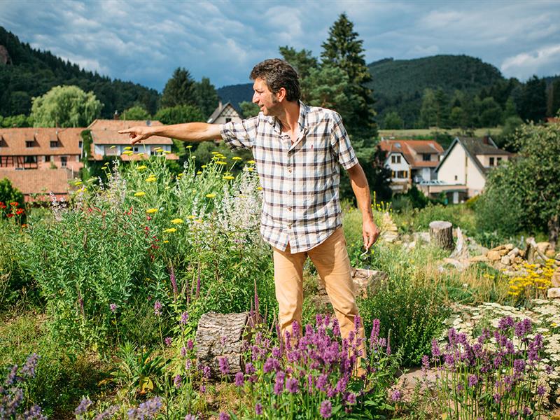 Visite guidée du jardin écologique Hymenoptera  Obersteinbach