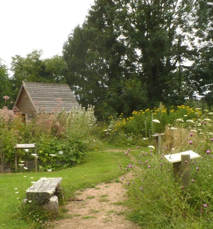 Visite guidée du jardin Jardin des herbes sauvages La Haye-de-Routot