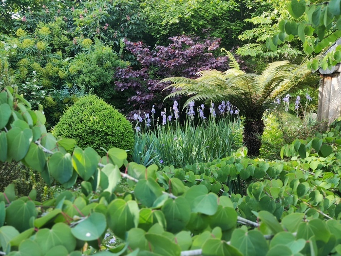 Visite guidée du jardin, Jardin du souvenir de la Libération, Audouville-la-Hubert
