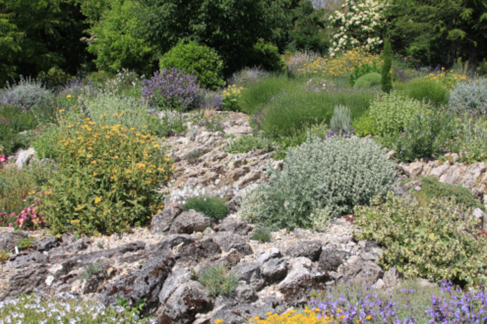 Visite guidée du jardin, Le Clos Saint-Lubin, Suèvres