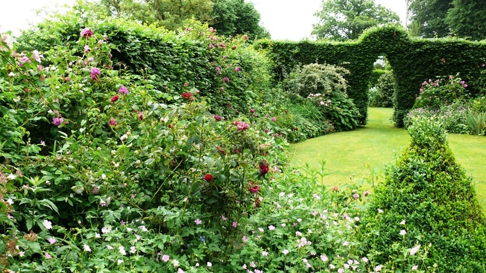 Visite guidée du jardin Le jardin des oubliées Balleroy-sur-Drôme
