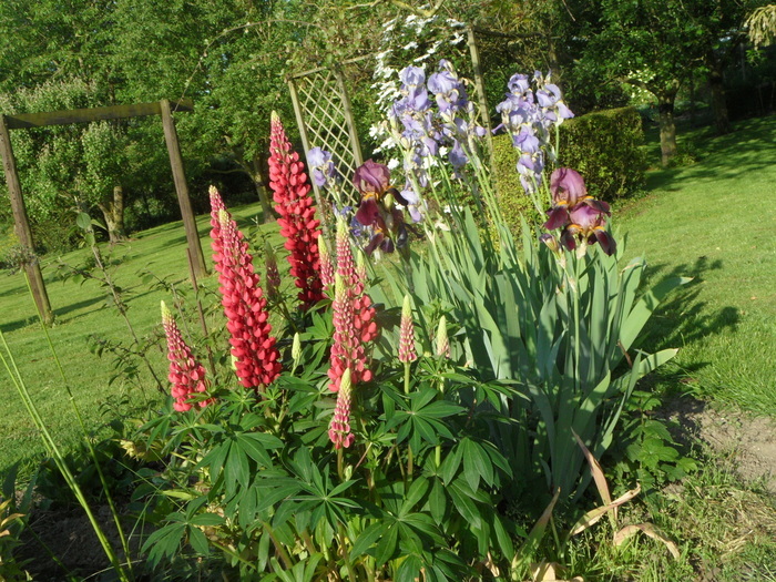 Visite guidée du potager et du verger Bouvignies Bouvignies