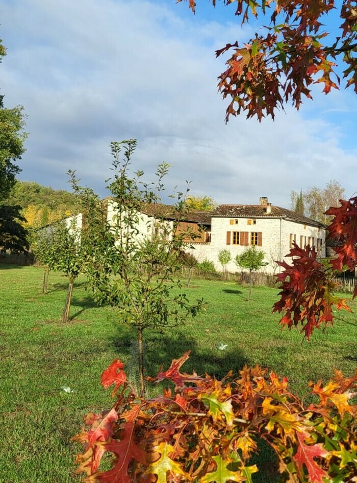 Visite guidée du verger et de ses races de poules Le verger des poules Milhars