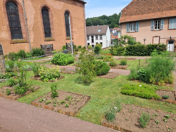 Visite guidée d'un jardin fruit du travail de passionnés Jardin de curé Soucht