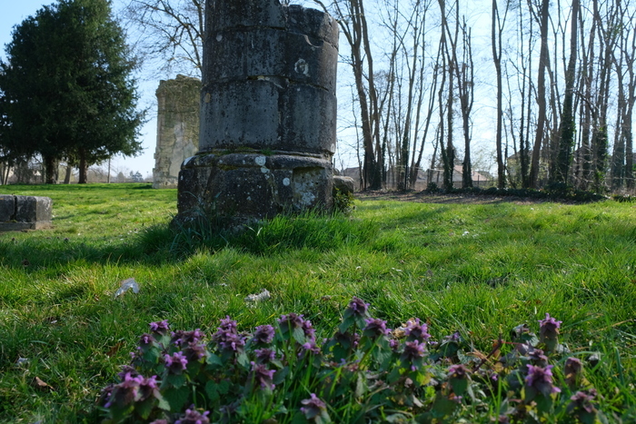 Visite guidée « Histo-végétale du parc de Maubuisson », Abbaye de Maubuisson, Saint-Ouen-l’Aumône