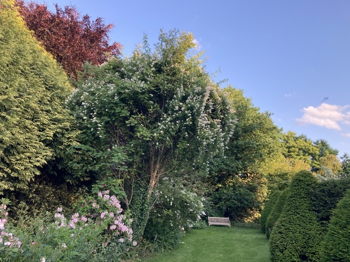 Visite guidée : le Jardin botanique "Le Clos de Chanchore" et la vue ! Le Clos de Chanchore Fresne-Cauverville