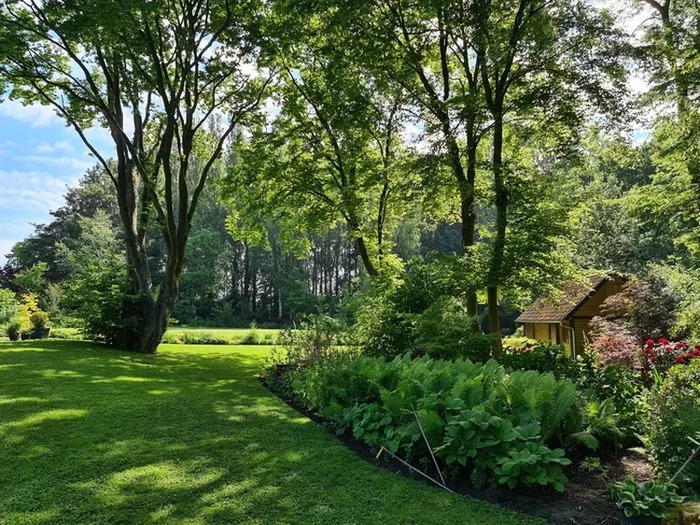 Visite guidée "Les Hydrangea" Les Hydrangéas Genech