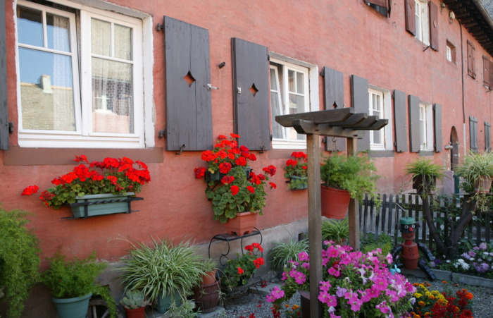 Visite guidée « Ma cité est un jardin : le Stockfeld », Cité-Jardin du Stockfeld, Strasbourg