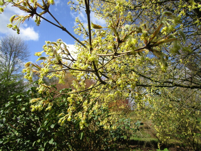 Visite guidée sur le thème de la vue et des perspectives Jardin du Mesnil Montérolier