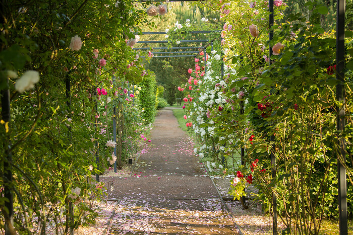 Visite guidée technique avec le chef jardinier Les Jardins de Colette Varetz