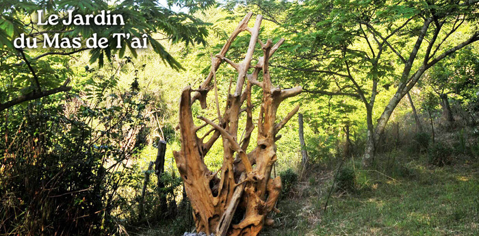 Visite Le Jardin du Mas de T&rsquo;aî, Le Jardin du Mas de T&rsquo;aî, Rocher