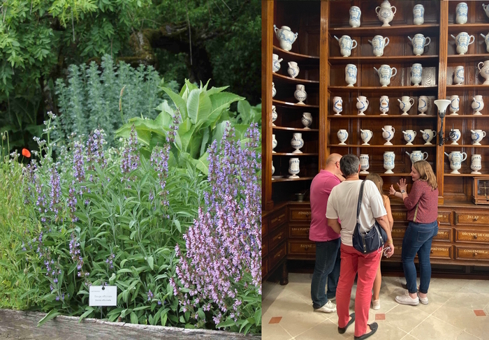 Visite « Les plantes médicinales, du Grand Jardin à l’apothicairerie », Château du Grand Jardin, Joinville