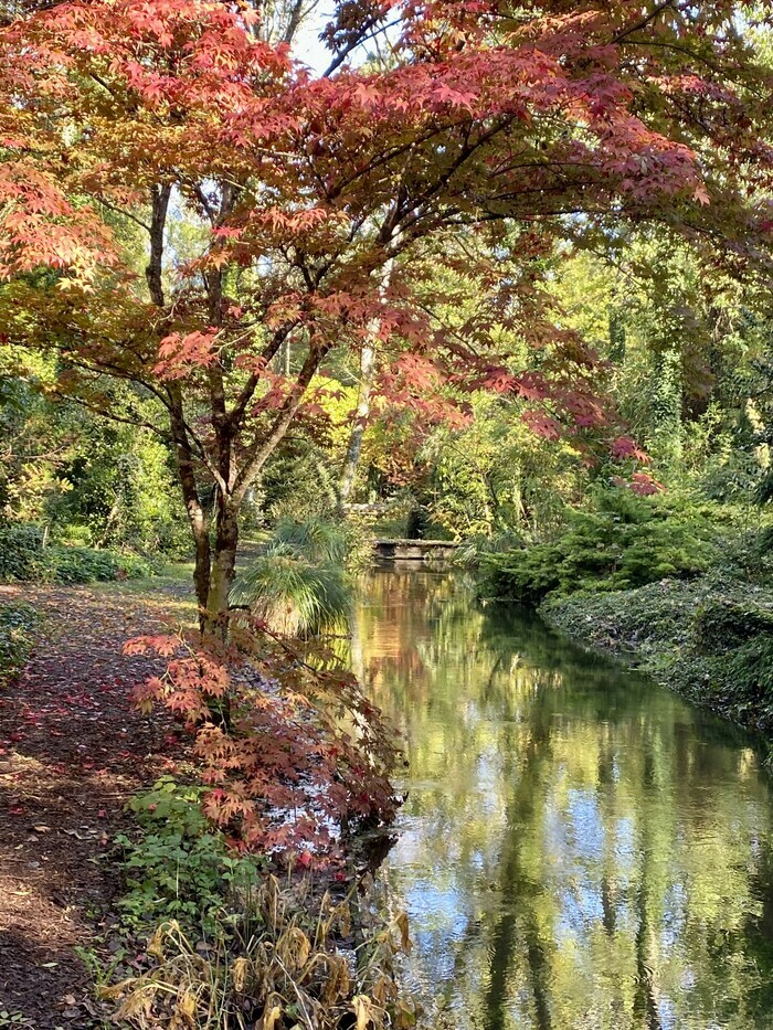 visite libre de l'arboretum Jardin Arboretum d'Ilex Meung-sur-Loire