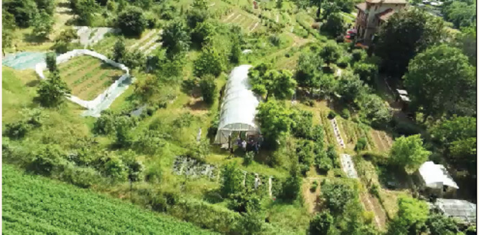 Visite libre de nos jardins en permaculture, La ferme de la Source Dorée, Saint-Pierre-la-Palud