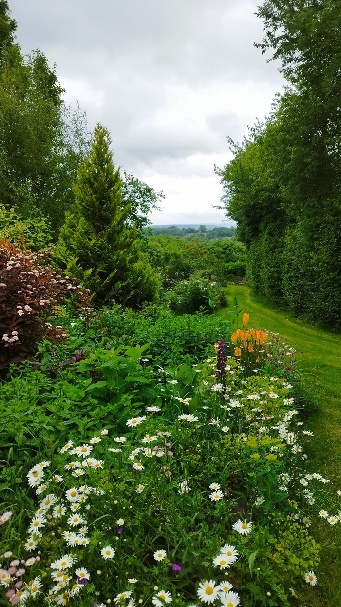 Visite libre découverte du jardin, Jardin de la Folêterie, Trémont