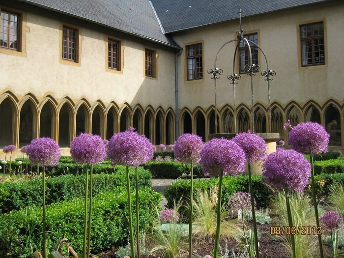 Visite libre des jardins de plantes médicinales et toxiques du Cloître des Récollets, Cloître des Récollets, Metz, Metz