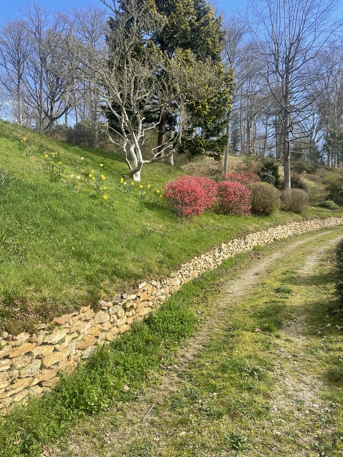 Visite libre des jardins du château de La Celle-les-Bordes Château de La Celle les Bordes La Celle-les-Bordes
