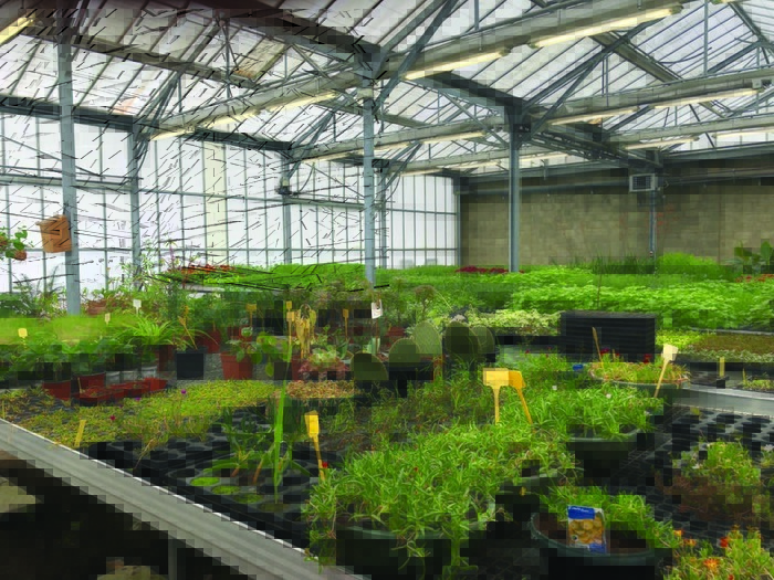 Visite libre des serres municipales Serres municipales Avranches