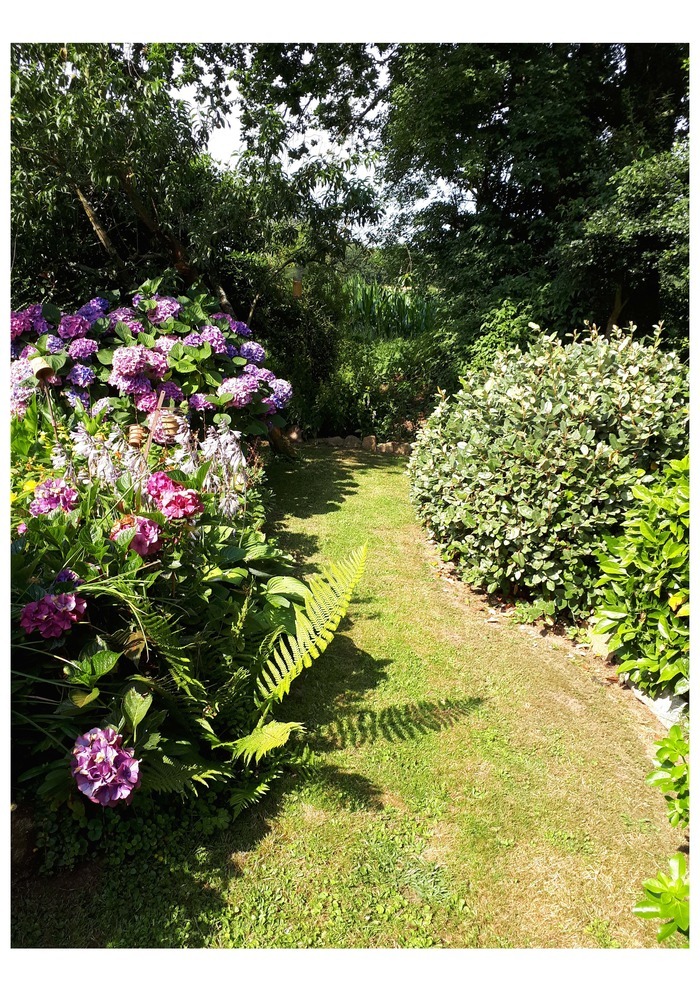 Visite libre du jardin botanique, Jardin botanique, Jullouville