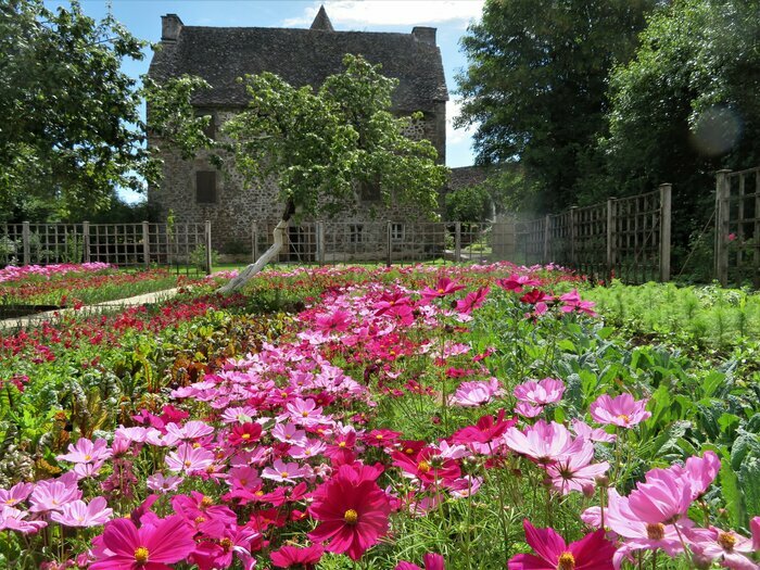 Visite libre du jardin, Château de la Trémolière et verger de Déduit, Anglards-de-Salers
