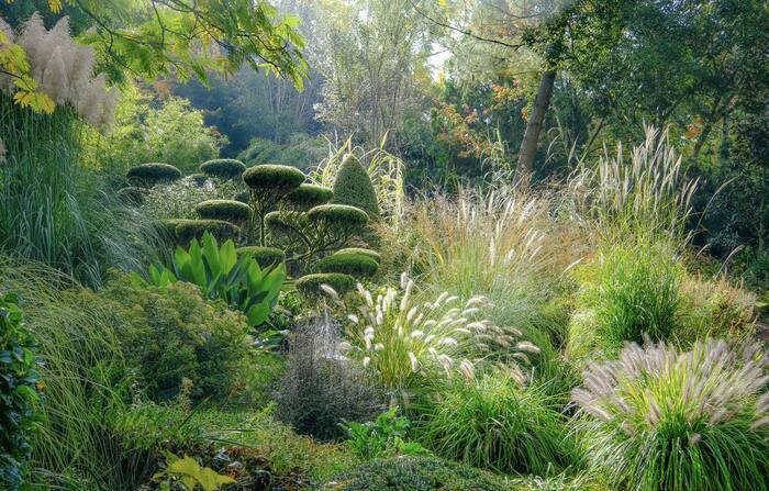 Visite libre du Jardin de Planbuisson Les bambous de Planbuisson Le Buisson-de-Cadouin