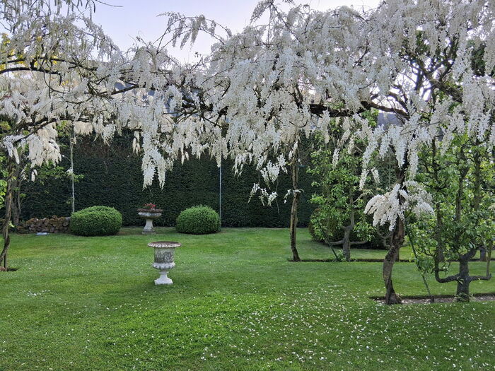 Visite libre du Jardin de Sarton, Jardin de Sarton, Sarton