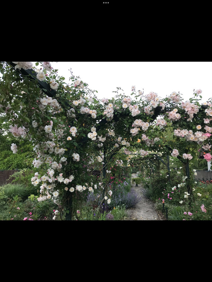 Visite libre du jardin des glandelles Jardin des Glandelles Bagneaux-sur-Loing