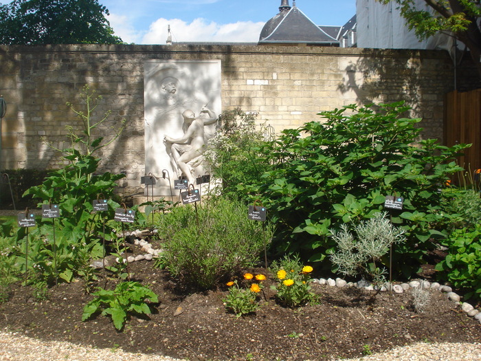 Visite libre du jardin du musée Musée Flaubert et d'histoire de la Médecine Rouen