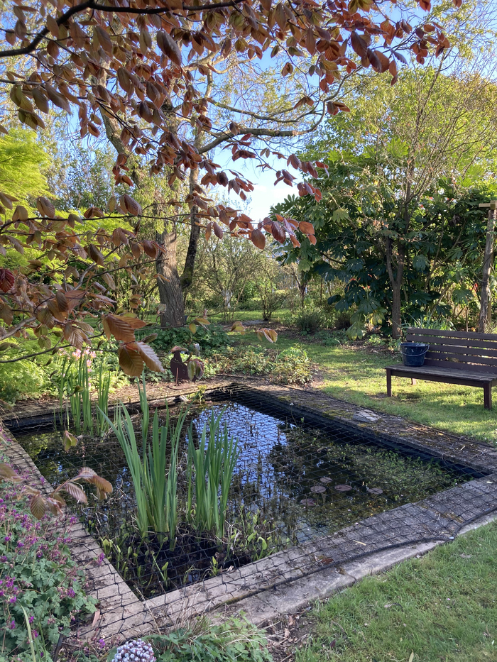 Visite libre du jardin Jardin des Trois Saisons La Haye-Pesnel